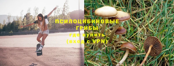 соль курить ск Арсеньев