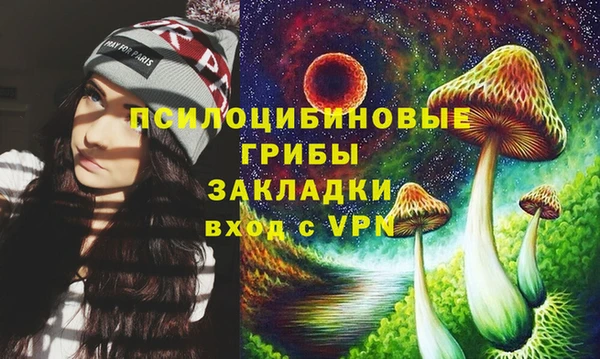 трава Аркадак