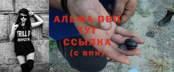 трава Аркадак