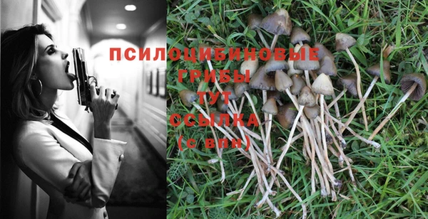 MESCALINE Няндома