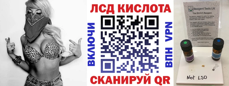 darknet Telegram  купить наркотик  Терек  Наркотические марки 1,5мг 